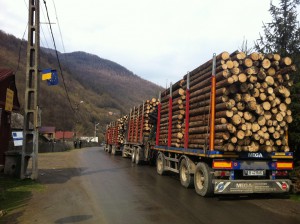 camioane cu lemn