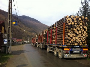 camion cu lemne