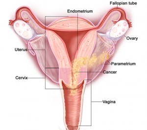 col uterin