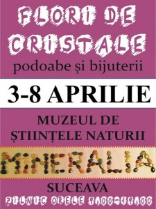 expo minerale 15