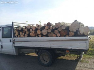 furt lemn autoutilitara